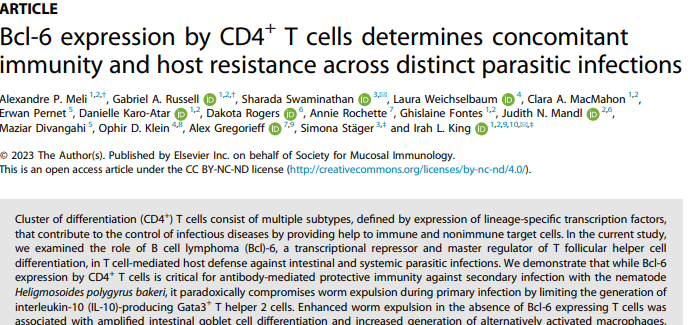 Bcl-6 expression by CD4+ T cells determines concomitant immunity and host resistance across distinct parasitic infections.
Meli AP, Russell GA, Swaminathan S, Weichselbaum L, MacMahon CA, Pernet E, Karo-Atar D, Rogers D, Rochette A, Fontes G, Mandl JN, Divangahi M, Klein OD, Gregorieff A, Stäger S, King IL.
Mucosal Immunol. 2023 Dec;16(6):801-816.