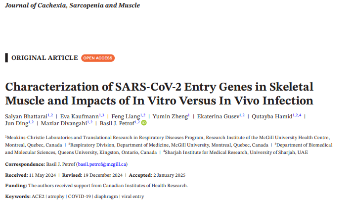 Bhattarai S*, Kaufmann E*, Liang F, Zheng Y, Gusev E, Hamid Q, Ding J, Divangahi M, Petrof B. (2025) Characterization of viral entry genes and impact of SARS-CoV-2 infection in the diaphragm and other skeletal muscles. Journal of Cachexia, Sarcopenia and Muscle 16:e13705