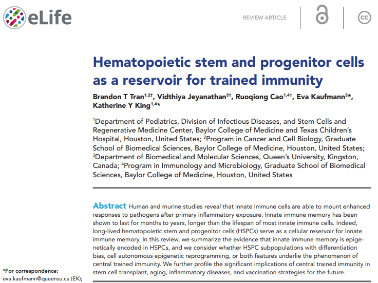 Tran BT*, Jeyanathan V*,#, Cao R*, Kaufmann E†, King KY†. (2025). Hematopoietic Stem and Progenitor Cells as Reservoir for Trained Immunity. eLife. 14: e106610.